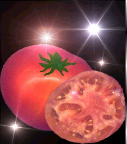'Fiesta del Tomate' en Miajadas